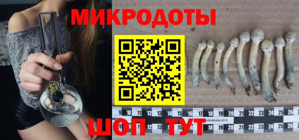 что такое   Псилоцибиновые грибы прущие грибы  Вход с VPN  Галлюциногенные грибы прущие грибы  Котовск 